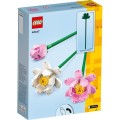 LEGO Botanicals Lotus Flowers (40647)