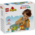 LEGO Duplo Caring For Bees & Beehives (10419)