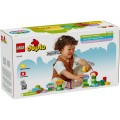 LEGO Duplo Creative Garden & Flowers (10444)
