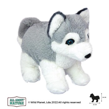 Wild Planet All About Nature Χασκυ Κουταβάκι 32 cm