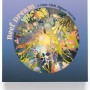 REEF DREAM: A FLOW STATE JIGSAW PUZZLE A FLOW STATE JIGSAW PUZZLE