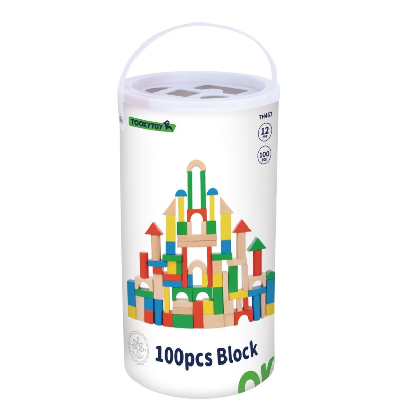 Tooky Toy Ξύλινα Τουβλάκια 100 τμχ.